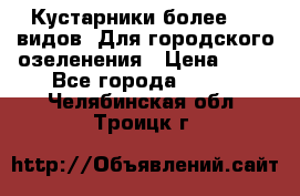 Кустарники более 100 видов. Для городского озеленения › Цена ­ 70 - Все города  »    . Челябинская обл.,Троицк г.